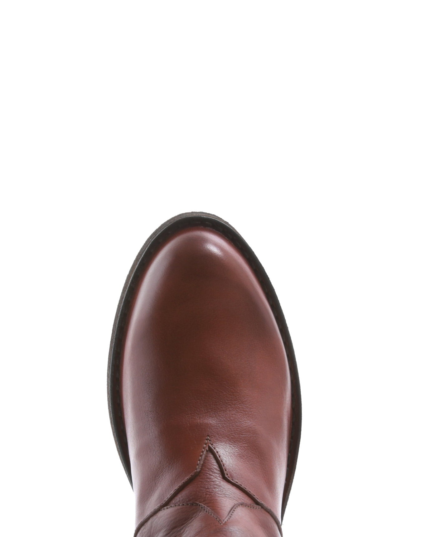 Fiorentini + baker, CARNABY CECIL, women ankle boots with star detail and slightly pointed toe-Made in Italy-toe