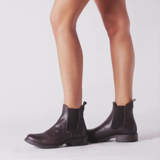 Fiorentini + Baker, ETERNITY ETEX, Women brown leather unisex classic Chelsea boots for a timeless style-Made in Italy-video