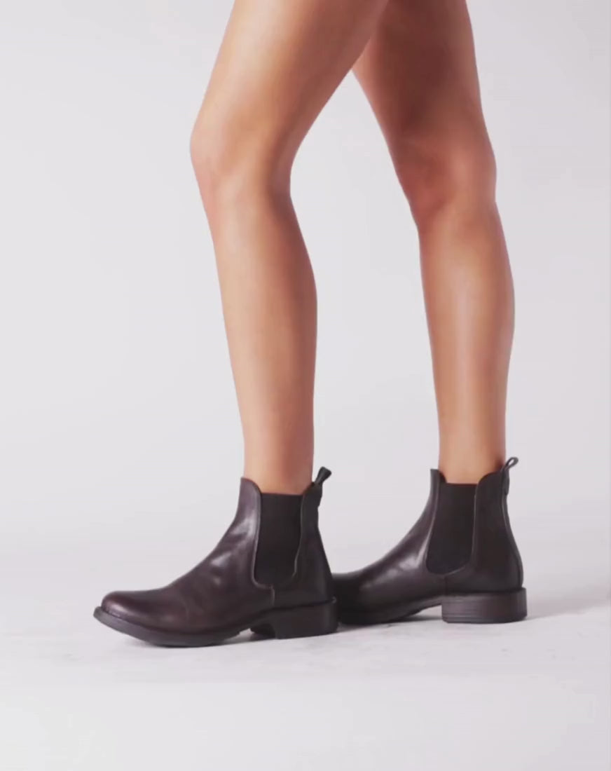 Fiorentini + Baker, ETERNITY ETEX, Women brown leather unisex classic Chelsea boots for a timeless style-Made in Italy-video